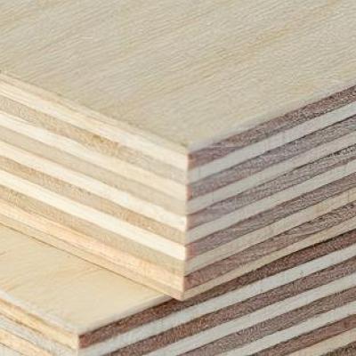 Birch plywood